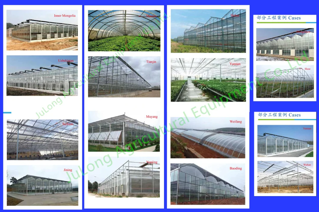 High Quality Steel Pipe Agricultural Green House Steel Structure with Glass Covering