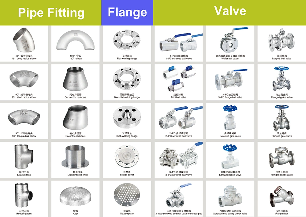 Dn200 DIN 2573 Pn16 Plate Flange for Gas Industry