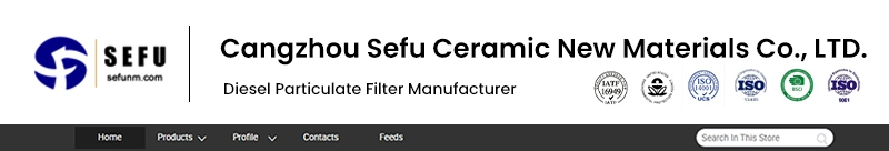 Sic Ceramic Cordierite DPF Filter Silicon Carbide Catalyst Substrate for Diesel Exhaust