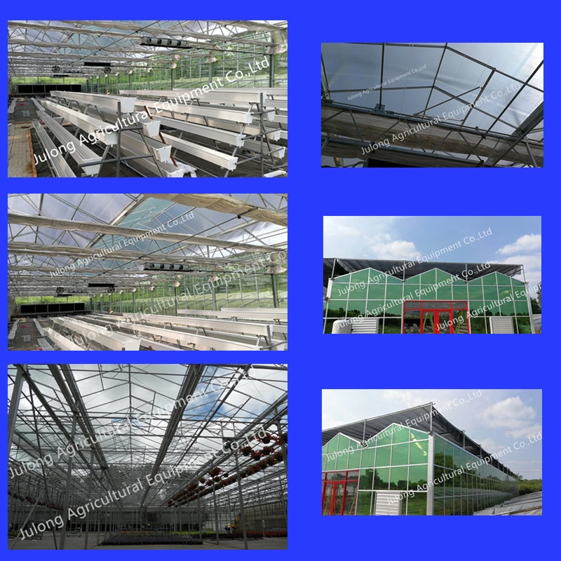 High Quality Steel Pipe Agricultural Green House Steel Structure with Glass Covering