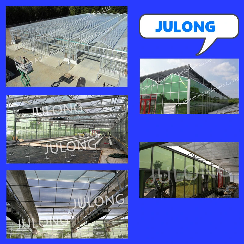 High Quality Steel Pipe Agricultural Green House Steel Structure with Glass Covering