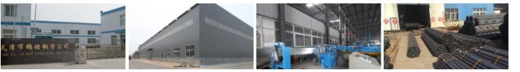 Factory Best Quality 40X40/Galvanized/Q235/BS1387/Square/Rectangular/Rhs/Shs/Decoration/Building/Fence/Pre Galvanized Steel Pipe