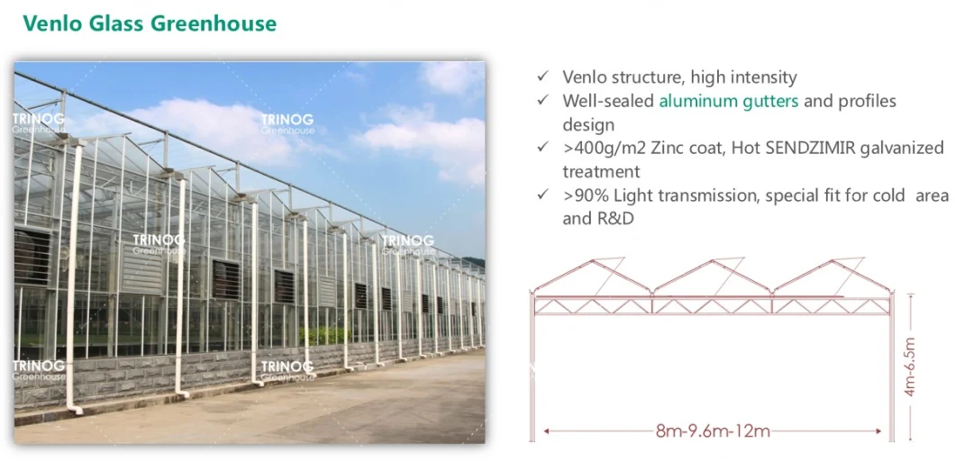 Hot Sale Galvanized Steel Frame Multi-Span Galvanized Steel Pipe Structure Glass Greenhouse for Seeding Planting