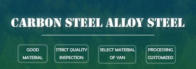 Carbon Steel Seamless Pipe Alloy Steel Pipe ASTM A335 Standard P2 P5 P9 P11 Steel Tubes P91