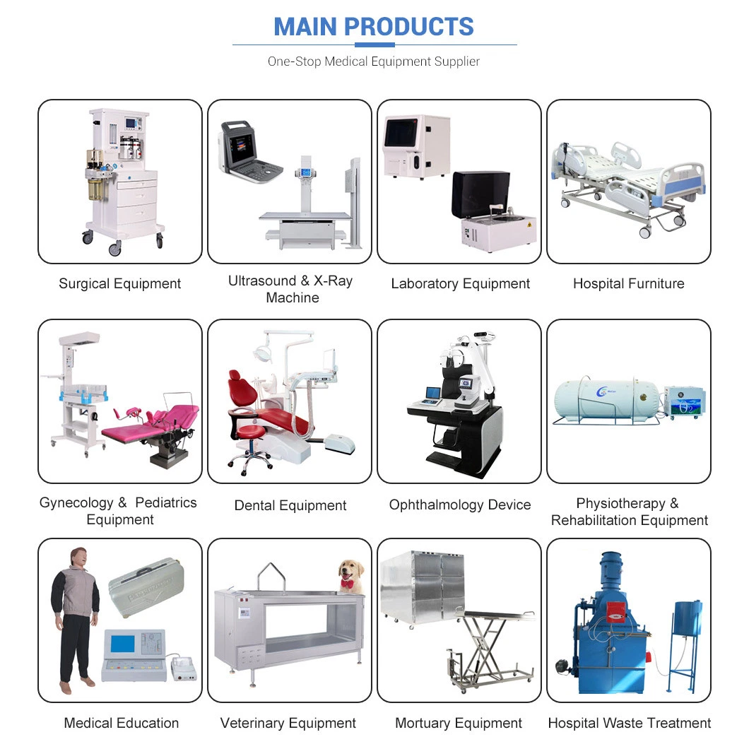 Physical Therapy Equipment Electronic Pulse Shock Wave Therapy Device