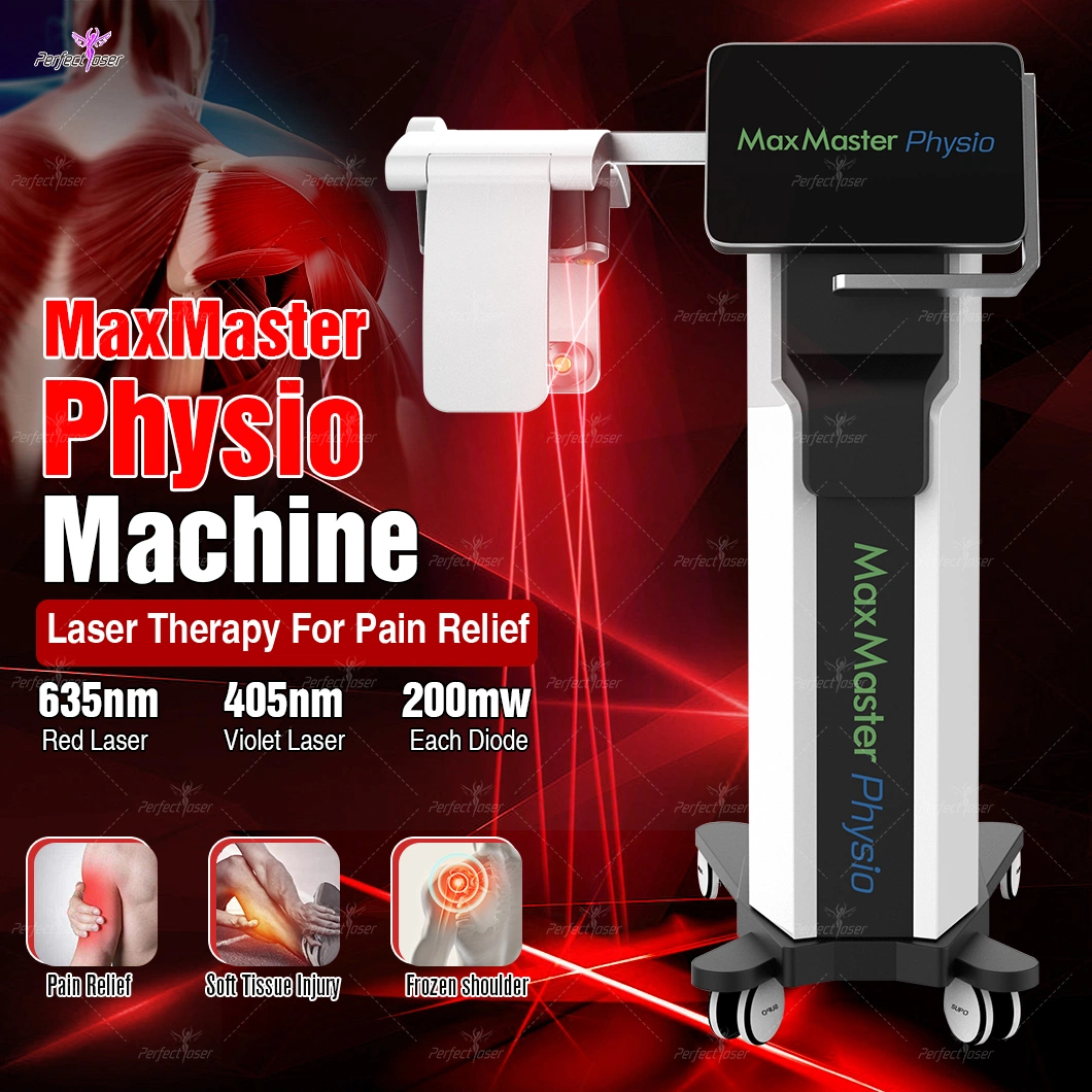 Tissue Repair Laser Physio Therapy Machine Waist Pain Cold Beauty Equipment