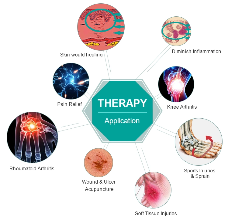 Handy Held Low Level Laser Therapy Cold Laser for Arthritis