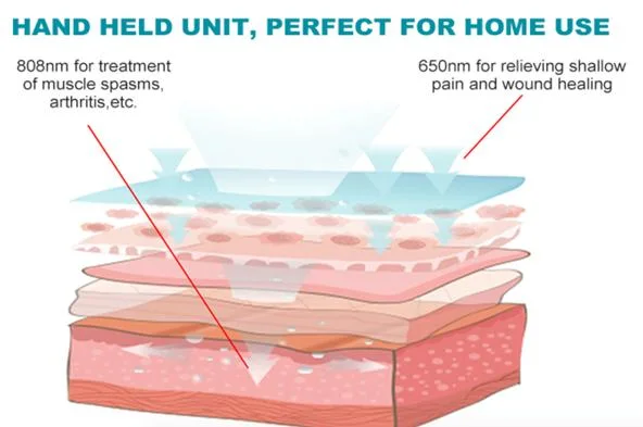 808nm and 650nm Medical Laser Cold Products for Treating Pain Knee Pain Laser Back Pain Equipment