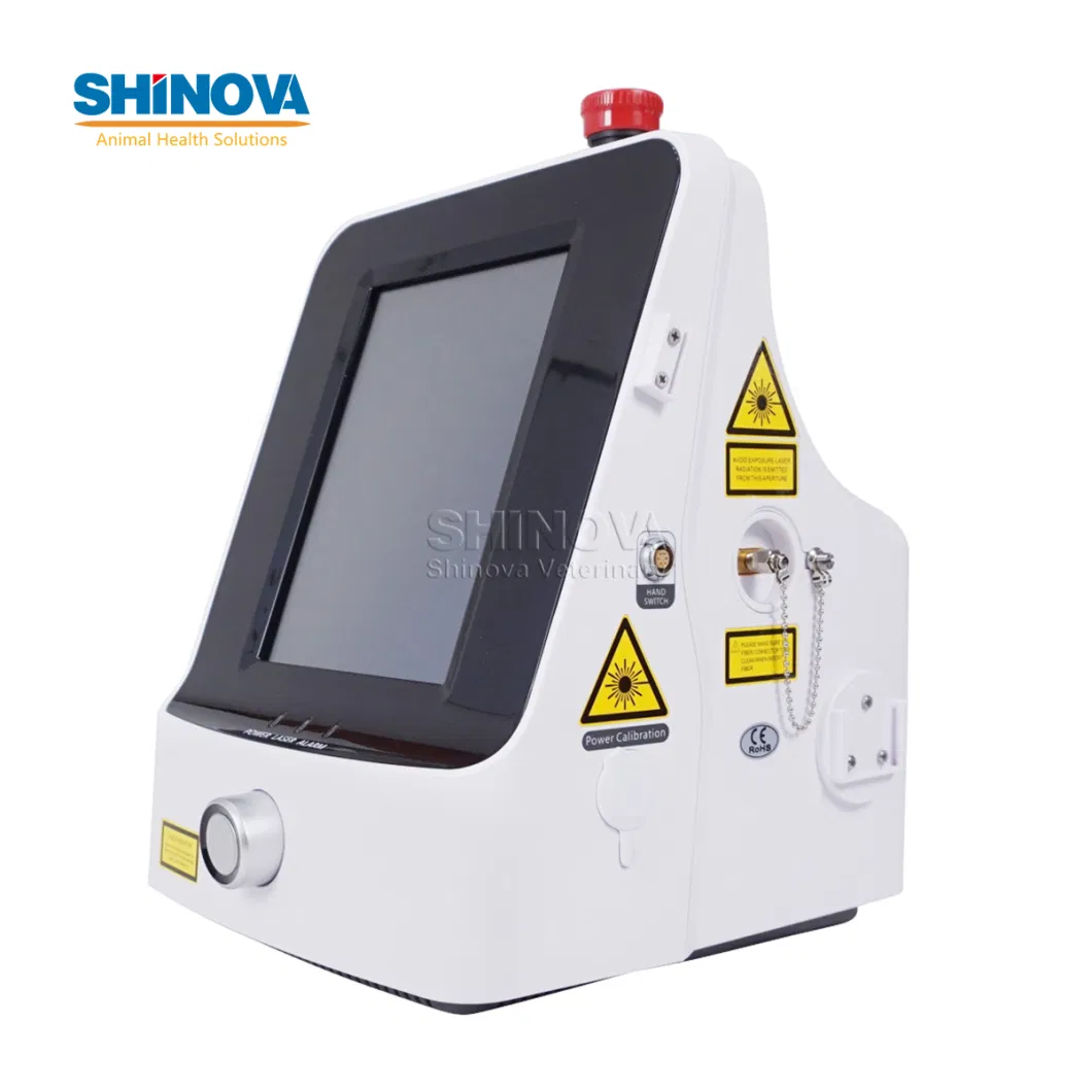 Diode Laser Therapy Equipment for Pain Relief Portable Veterinary Diodelaser Systemdiode Laser Therapy Dl-15A/B