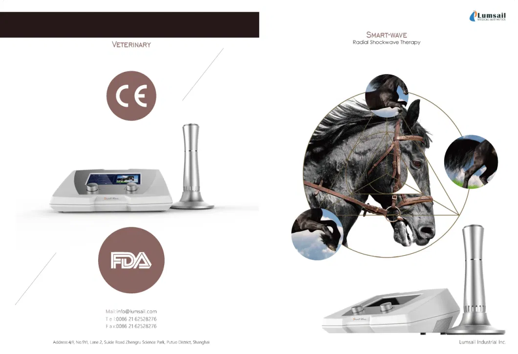 Focused Equine Shockwave Physical Therapy Machine for Animal Joint Pain