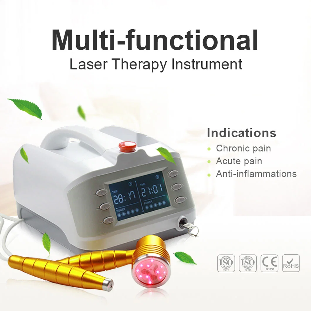 Multi-Functional Portable Semiconductor Pain Relief Laser Treatment Instrument