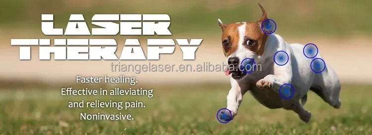 2024 Hot Selling Portable Animal Physiotherapy Veterinary Physical Therapy Pain Relief Laser Machine 980nm