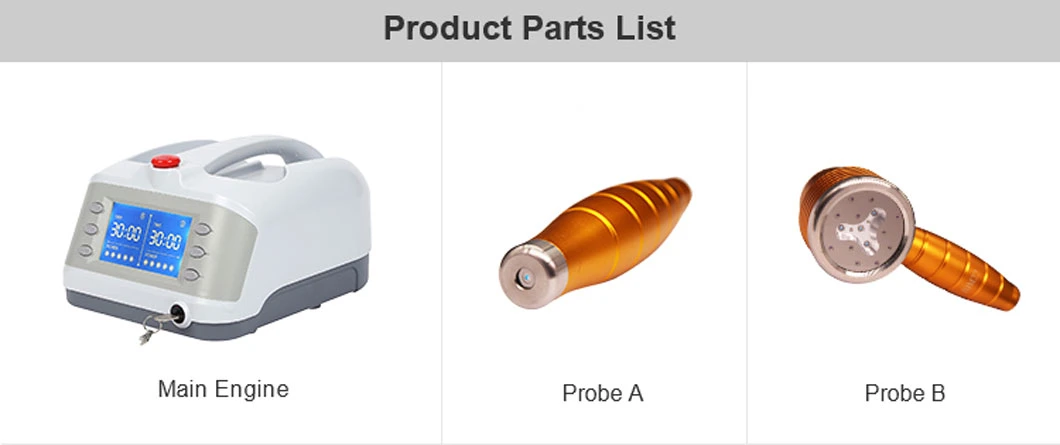 Multi-Functional Portable Semiconductor Pain Relief Laser Treatment Instrument