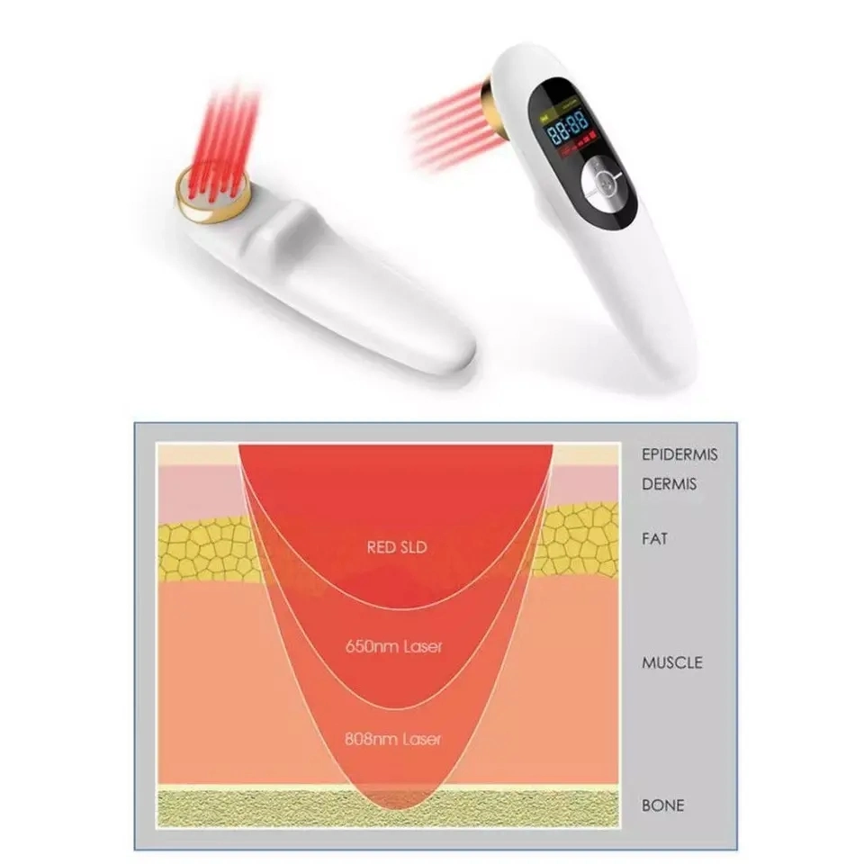 Veterinary Equipment 808nm Cold Laser Therapy Animals Wound Healing Physiotherapy