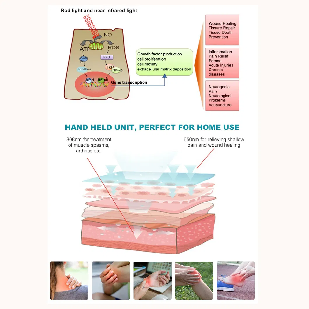 New! 808nm at-Home Laser-Therapy Pain-Relief Device Pain Buster