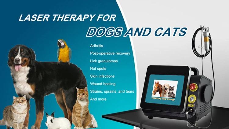 High Intensity Laser Dogs Cats Horses Physiotherapy Equipment Laser Therapy for Pain Relief Wound Healing Treatment