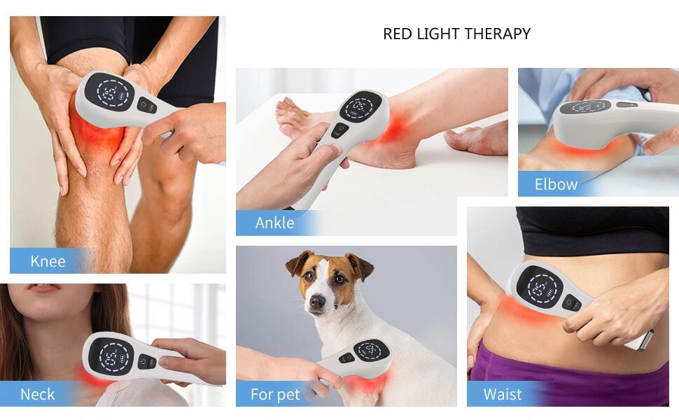 Medical Handheld Pain Relief Low Level Laser Cold Laser Therapy Device 808nm 650nm Physical Therapy (PW-4X)