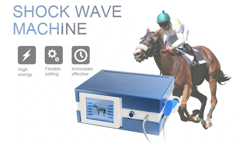 Physical Equipment Veterinary Shockwave Equine Therapy Machine