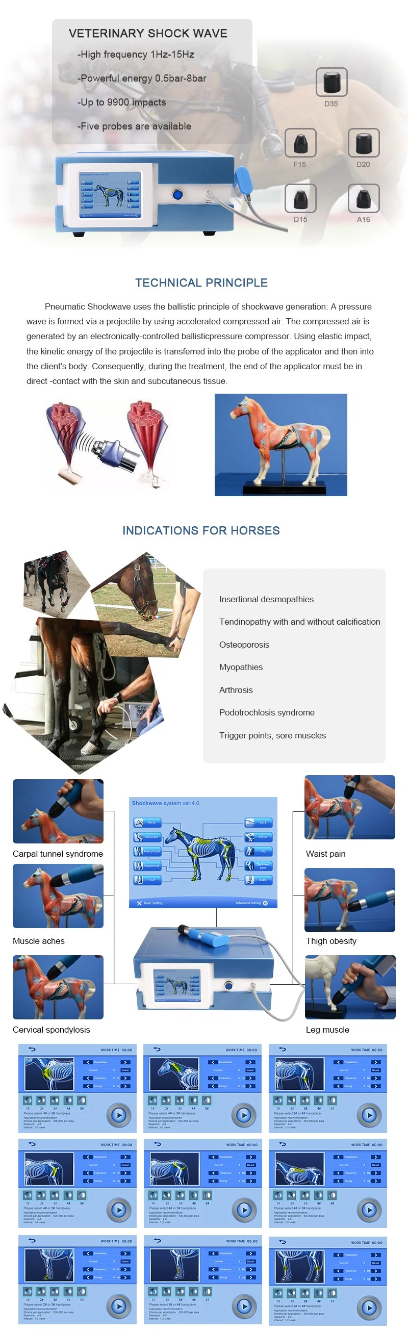 Physical Equipment Veterinary Shockwave Equine Therapy Machine