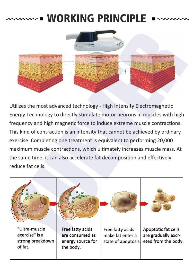 Fat Removal Machines Laser Light 10d Lipo Laser Green Light Slimming 10d Cold Laser Therapy Slim Machine