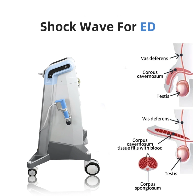 Professional Vertical Shockwave Therapy Machine for Rehabilitation and ED Treatment