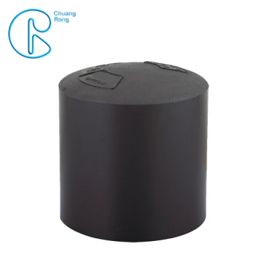 HDPE Pipe and Fittings Catalogue Polyethylene Pipe Polyethylene End Cap Fitting