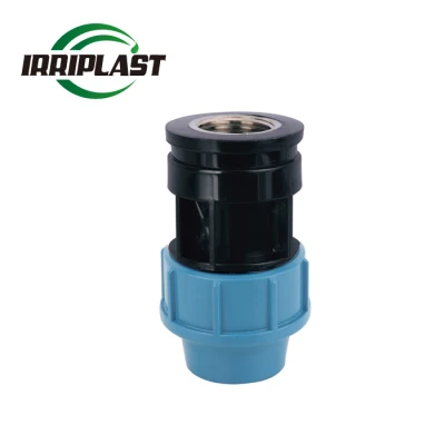 Low Price Plastic Pipe Fitting PP Compression Fitting Plumbing Fitting Female Adaptor with Brass Threaded Insert