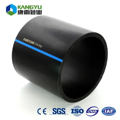  China Supplier PE100 HDPE Pipe for Water Supply System