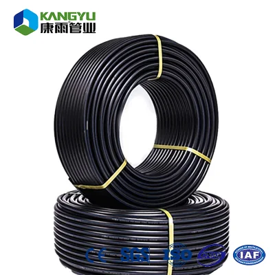  DN20-DN1200 PE100 Water Pipe HDPE Pipe for Potable Water Supply Fire Protection Agricultural Irrigation