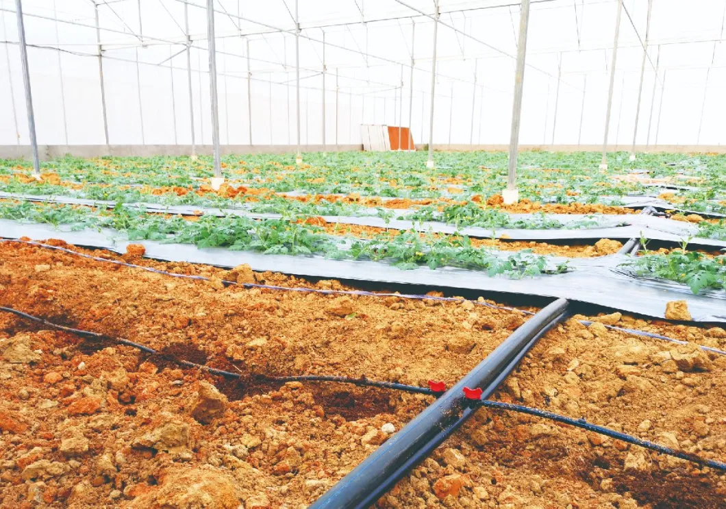 Agricultural Farm 1 Hectare Drip Irrigation PE Pipe Price
