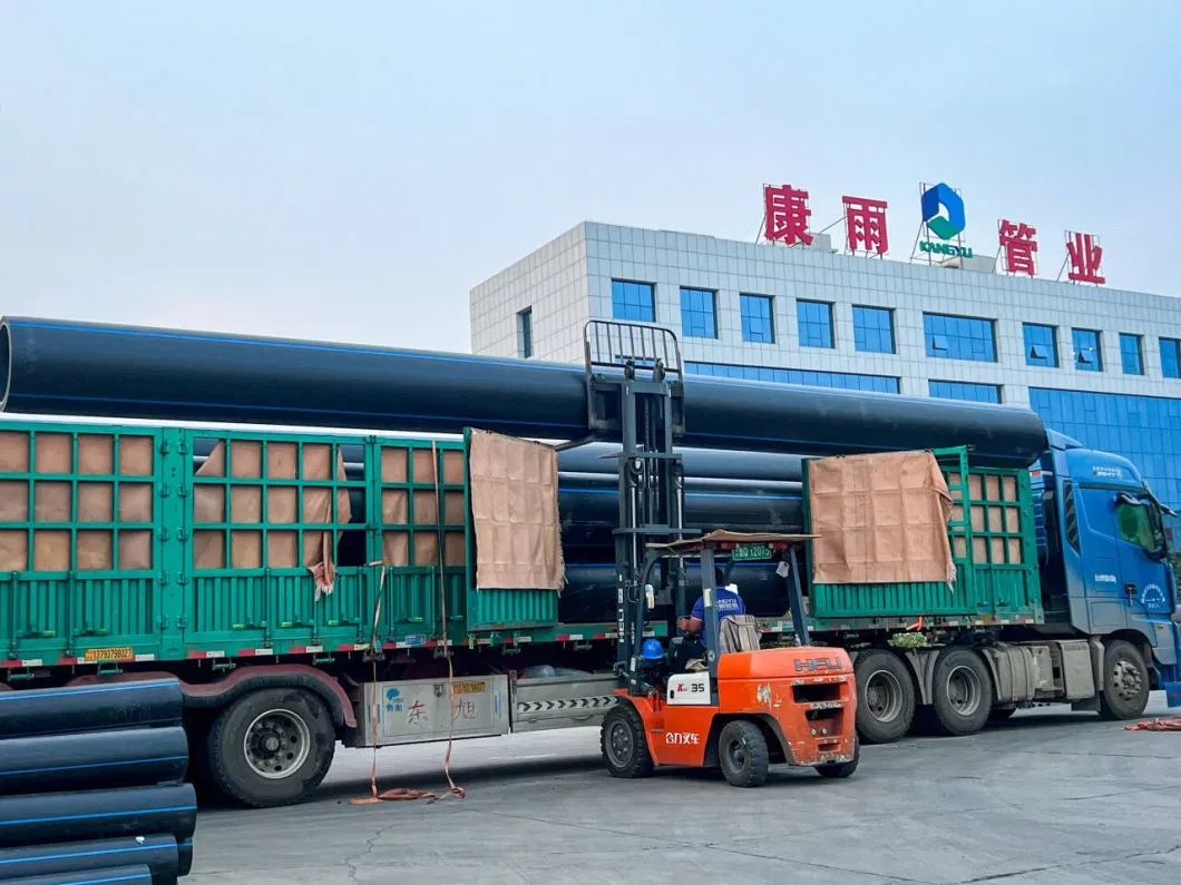 China Supplier PE100 HDPE Pipe for Water Supply System