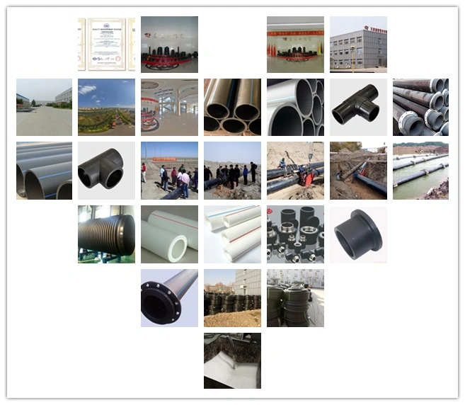 Dn50mm Pn1.0MPa SDR17 PE100 High Quality Water Supply HDPE Pipe