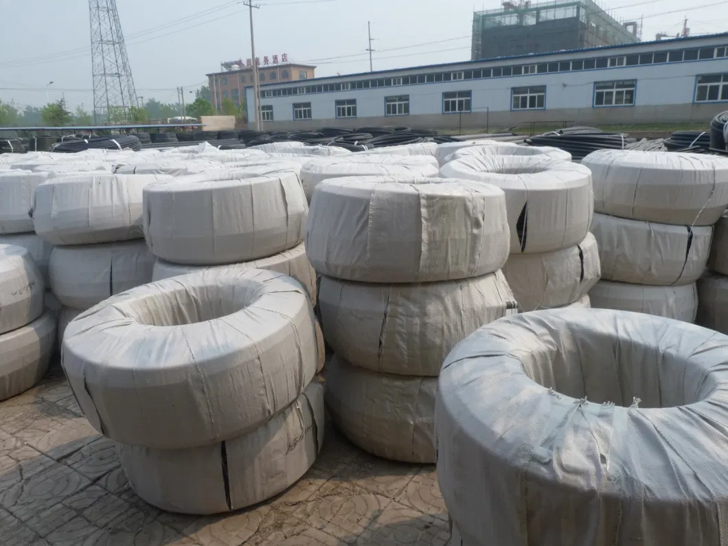 Hot Sale HDPE LDPE Pipe Pn16 PE100 DN110 Polyethylene Pipe for Agricultural Irrigation Hose