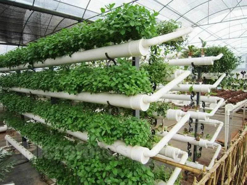 Hydroponic Tube Square PVC Pipe Hydroponic for Nft System