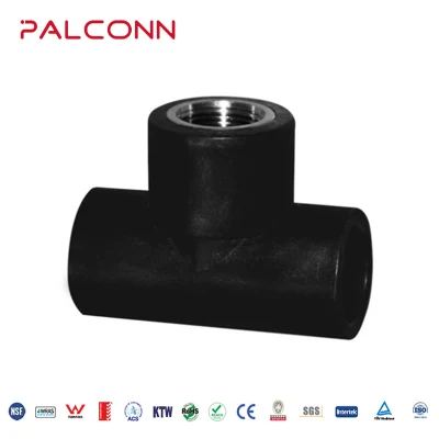 Cina Produttore Palconn 40*4.5mm SDR9 Pn20 Irrigation nero tubo HDPE E raccordi