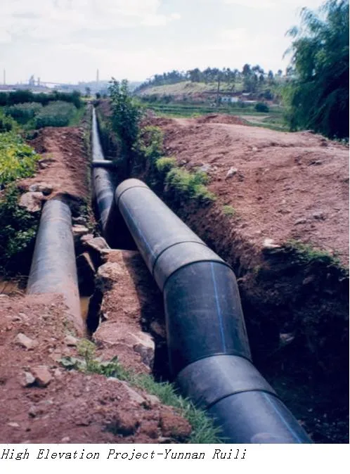 Black PE HDPE Pipes for Drinking Water