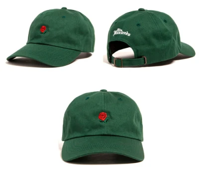 Großhandel 100% Baumwolle Unstrukturiert Kappe Einstellbar 6 Panel Snapback Blume Mütze Mit Stickereien Im Muster