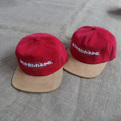 OEM 2 Ton zwei Ton 100% Baumwolle 5 Panel hat Stickerei Logo Custom Snap Back Vintage Unstrukturierte Snapback Cap