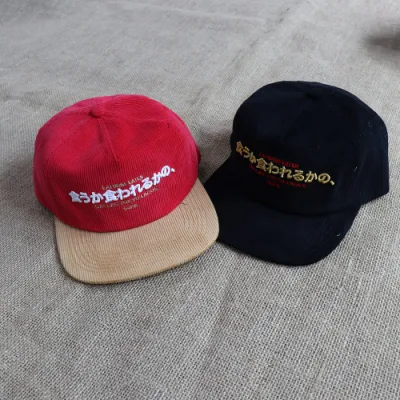 OEM 2 Ton zwei Ton 100% Baumwolle 5 Panel hat Stickerei Logo Custom Snap Back Vintage Unstrukturierte Snapback Cap