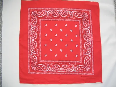 Paisley Skull Flame Novelty Camouflage Baumwolle Bandana mit verfügbarem Design