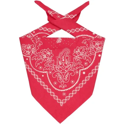 Custom Printing Stoff Baumwolle Kopfbedeckung Bandana für Männer Hund Haustier