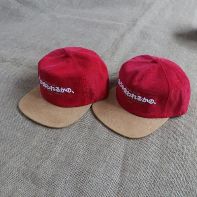 OEM 2 Ton zwei Ton 100% Baumwolle 5 Panel hat Stickerei Logo Custom Snap Back Vintage Unstrukturierte Snapback Cap