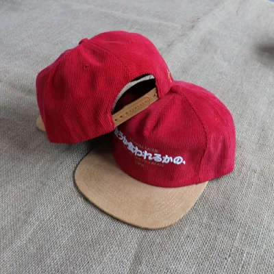 OEM 2 Ton zwei Ton 100% Baumwolle 5 Panel hat Stickerei Logo Custom Snap Back Vintage Unstrukturierte Snapback Cap