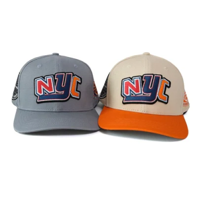 Benutzerdefinierte 6 Panel Plain leichte Kurve Krempe Snapback Caps mit Hut Mit Stickerei Aus Baumwolle