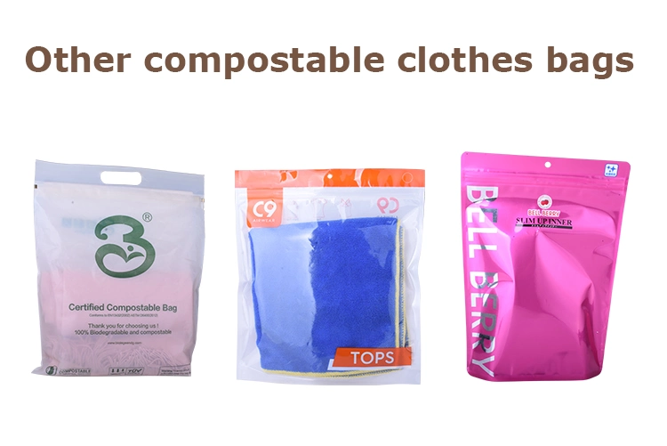 Custom Printing Eco-Friendly Resealable Plastic Ziplock Bags for Clothes Packaging Bag