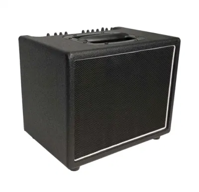 Custom Grand 60Watt Acoustic Guitar Combo Verstärker mit Effekten in Schwarz Farbe Ger Compact T60 Stil