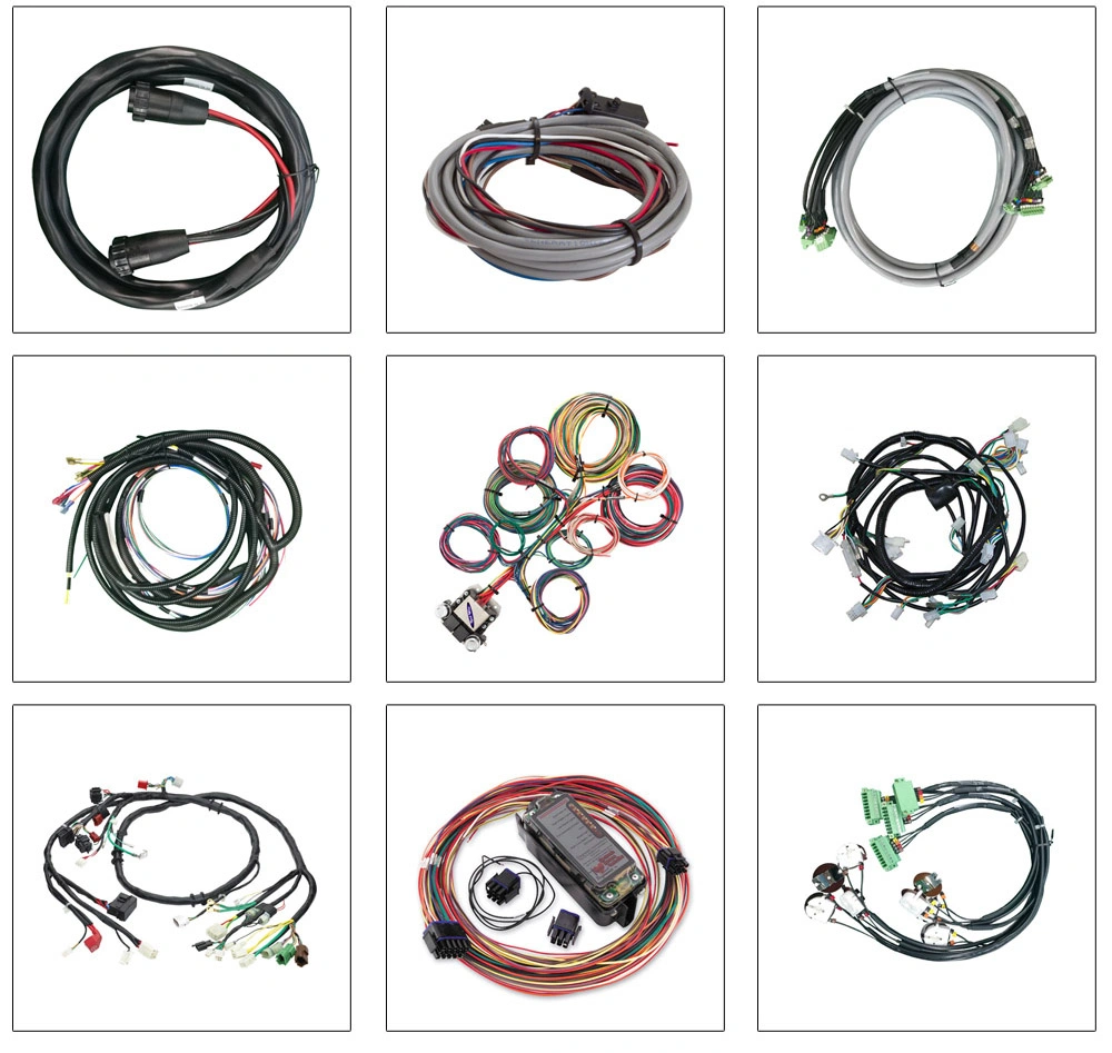 Molex Terminal Used in Customized Automobile Cable From Shenzhen