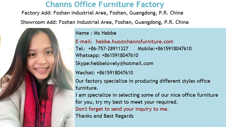 High Quality Foshan Furniture Leather Office Chair with Metal Legs (CAS-EC1702)