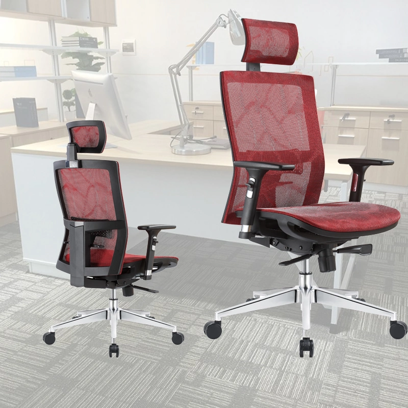 Wholesale Price Functional Ergonomic Full Mesh Office Chair with Lumbar Support