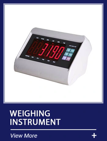 High Accuracy Sk210 LCD LED Display Plastic Precise Truck Weighing Scale Indicator